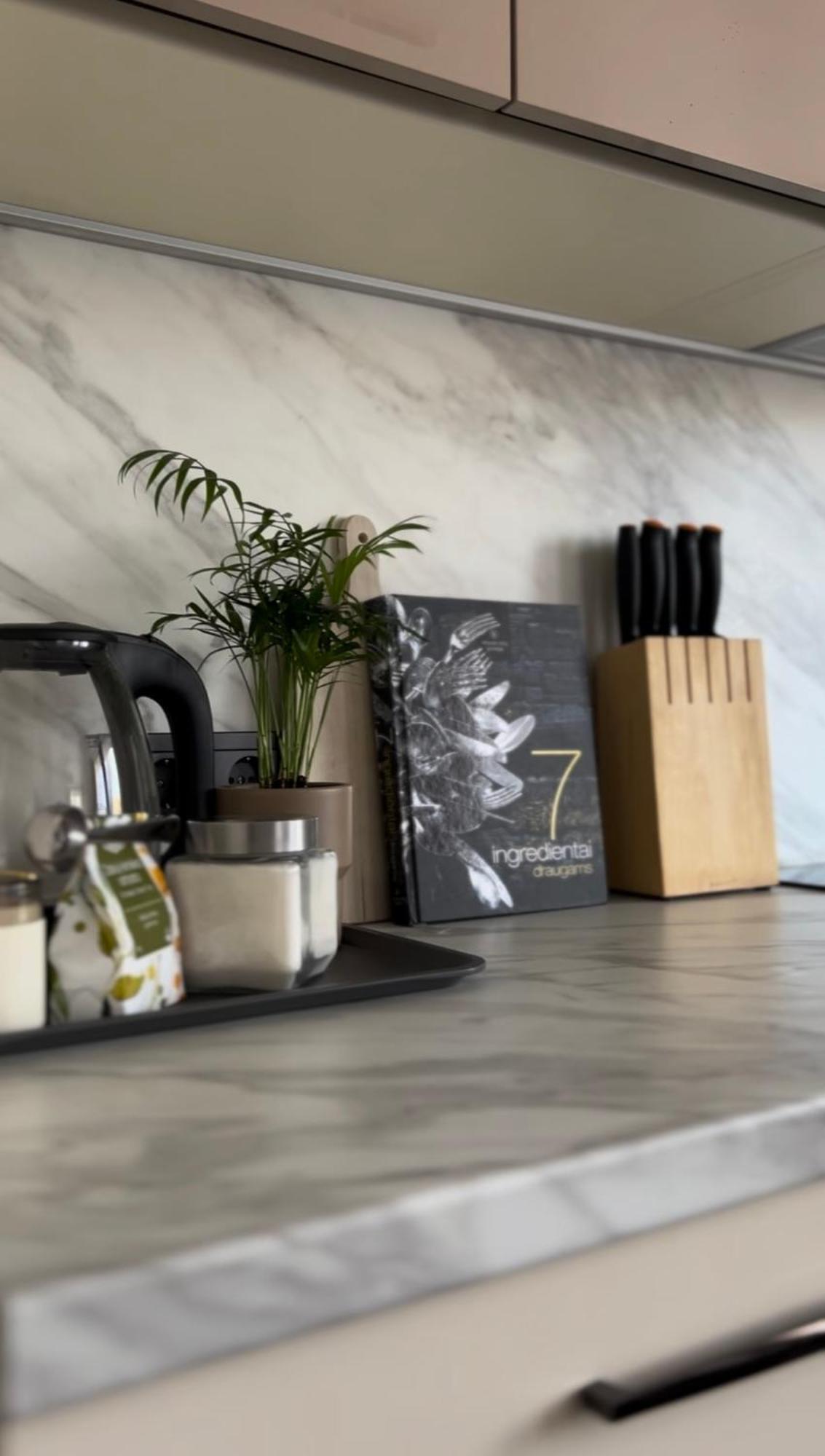 Saules Tako Apartamentai Druskininkai Dış mekan fotoğraf